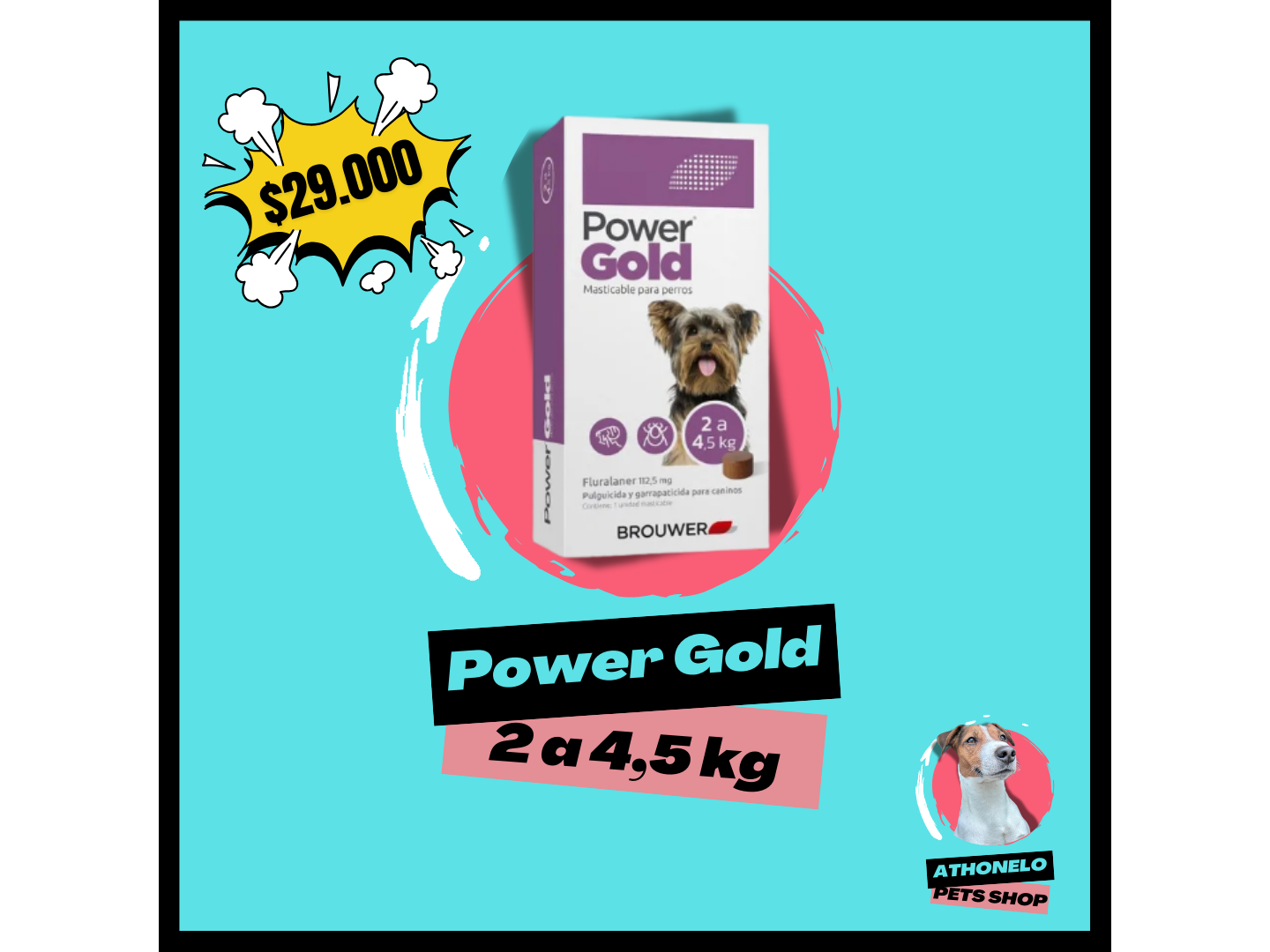 POWER GOLD de 2 a 4,5 kg
