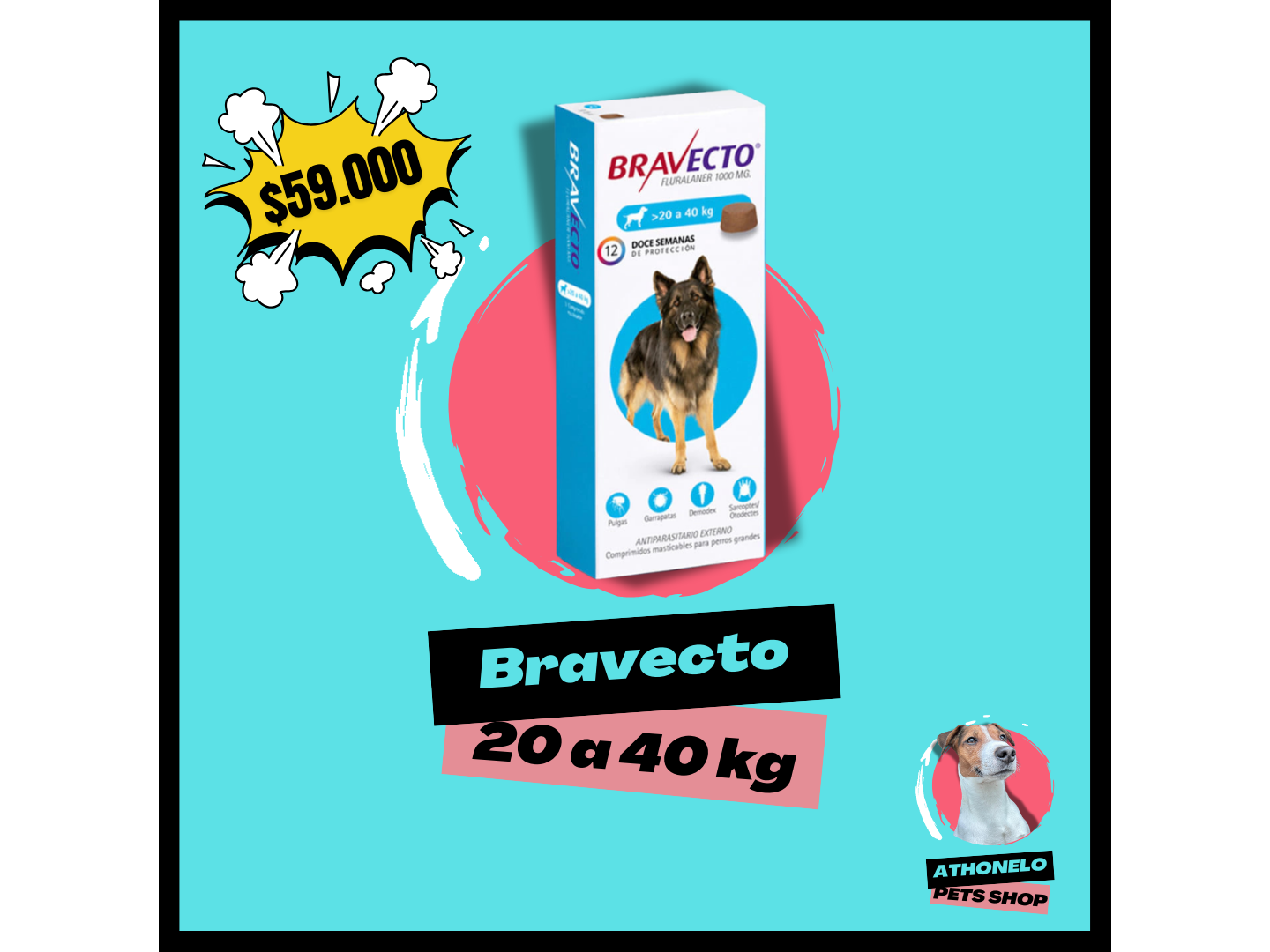 BRAVECTO de 20 a 40 kg