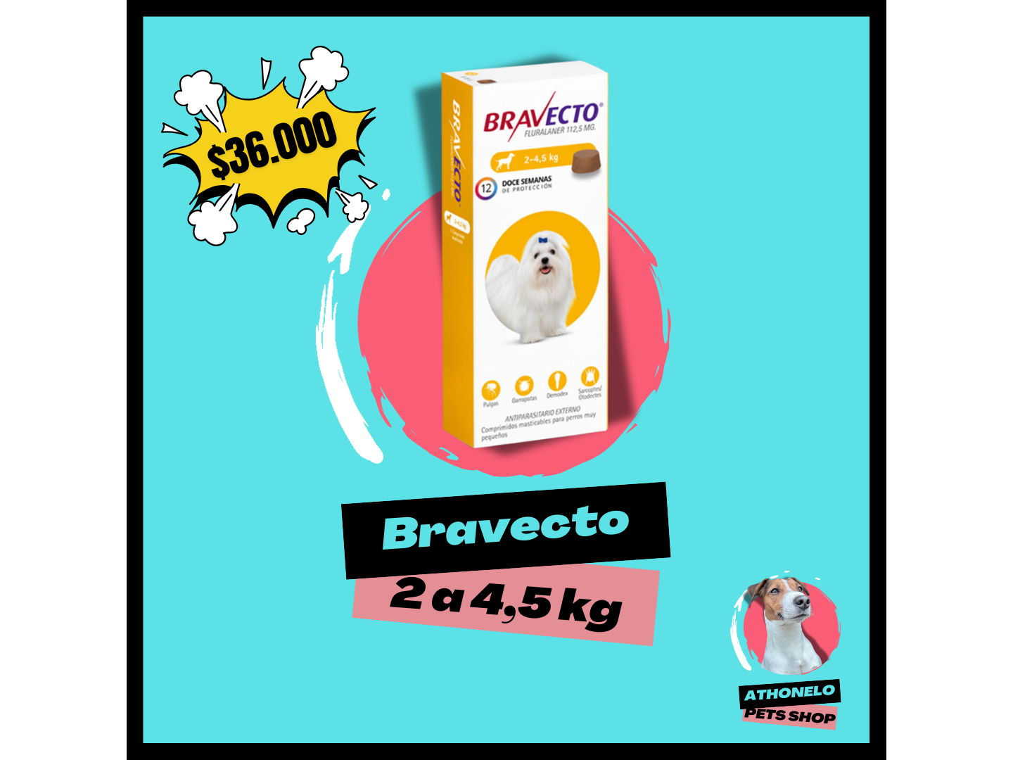 BRAVECTO de 2 a 4,5 kg