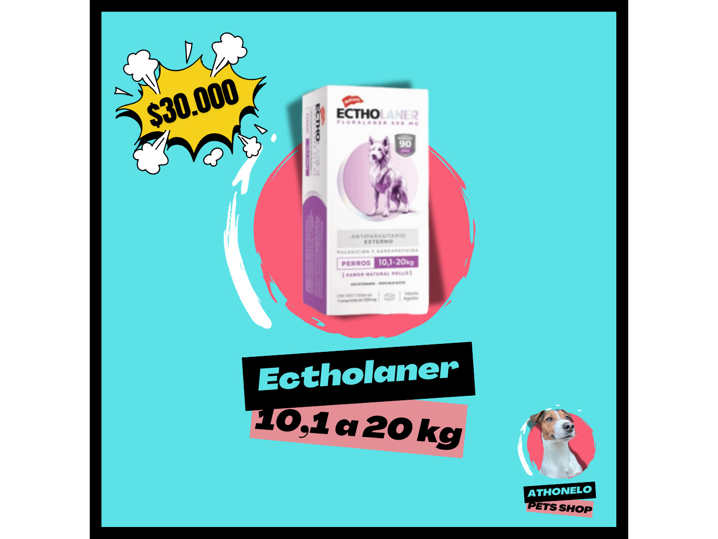 ECTHOLANER de 10,1 a 20 kg