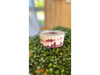Red Velvet MEDIANO