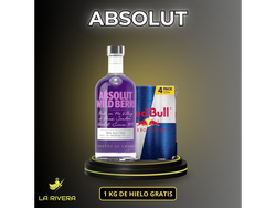 Promo Absolut + 4 Red Bull