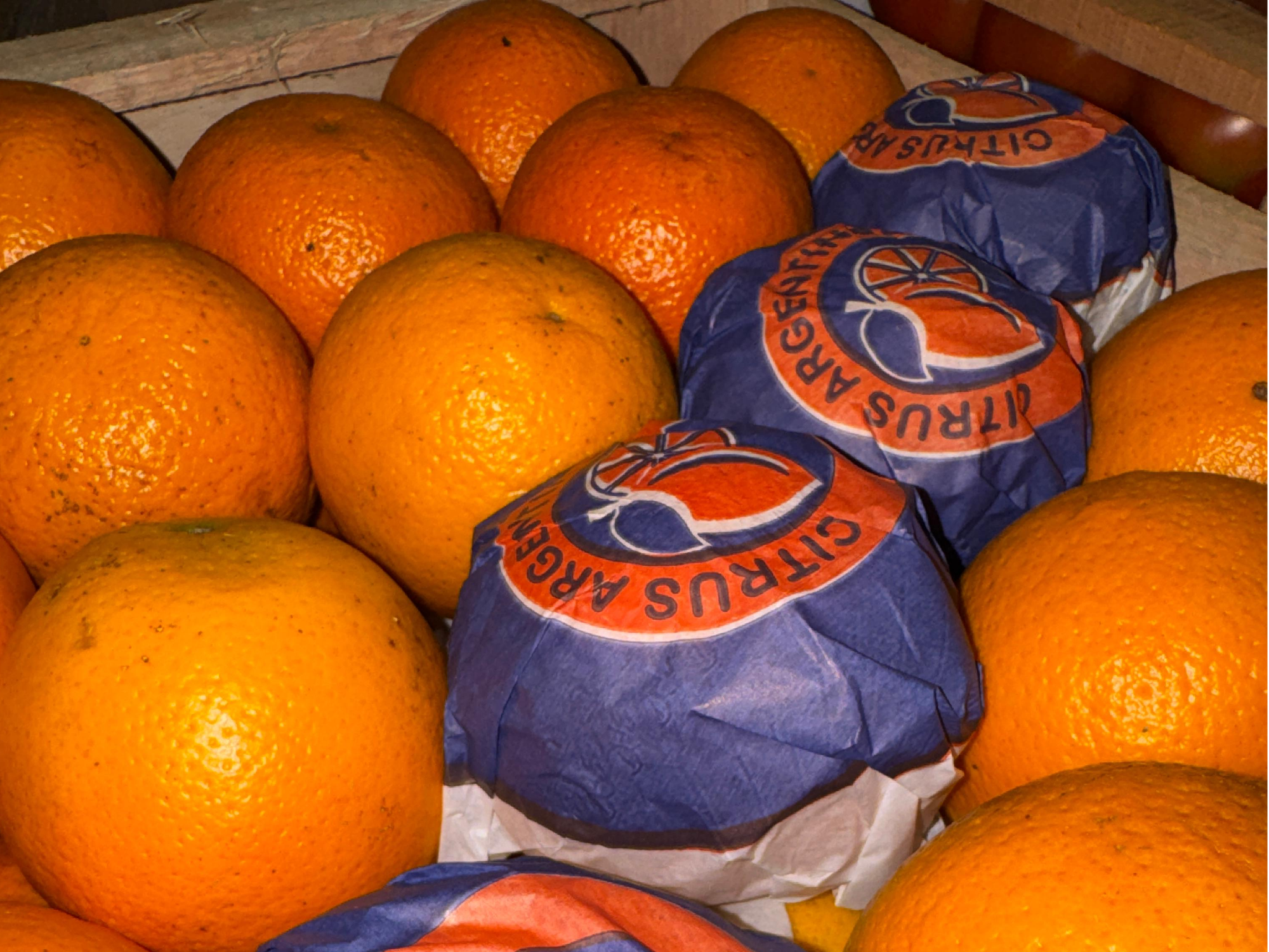 NARANJA JUGO - CAJÓN 19 KG