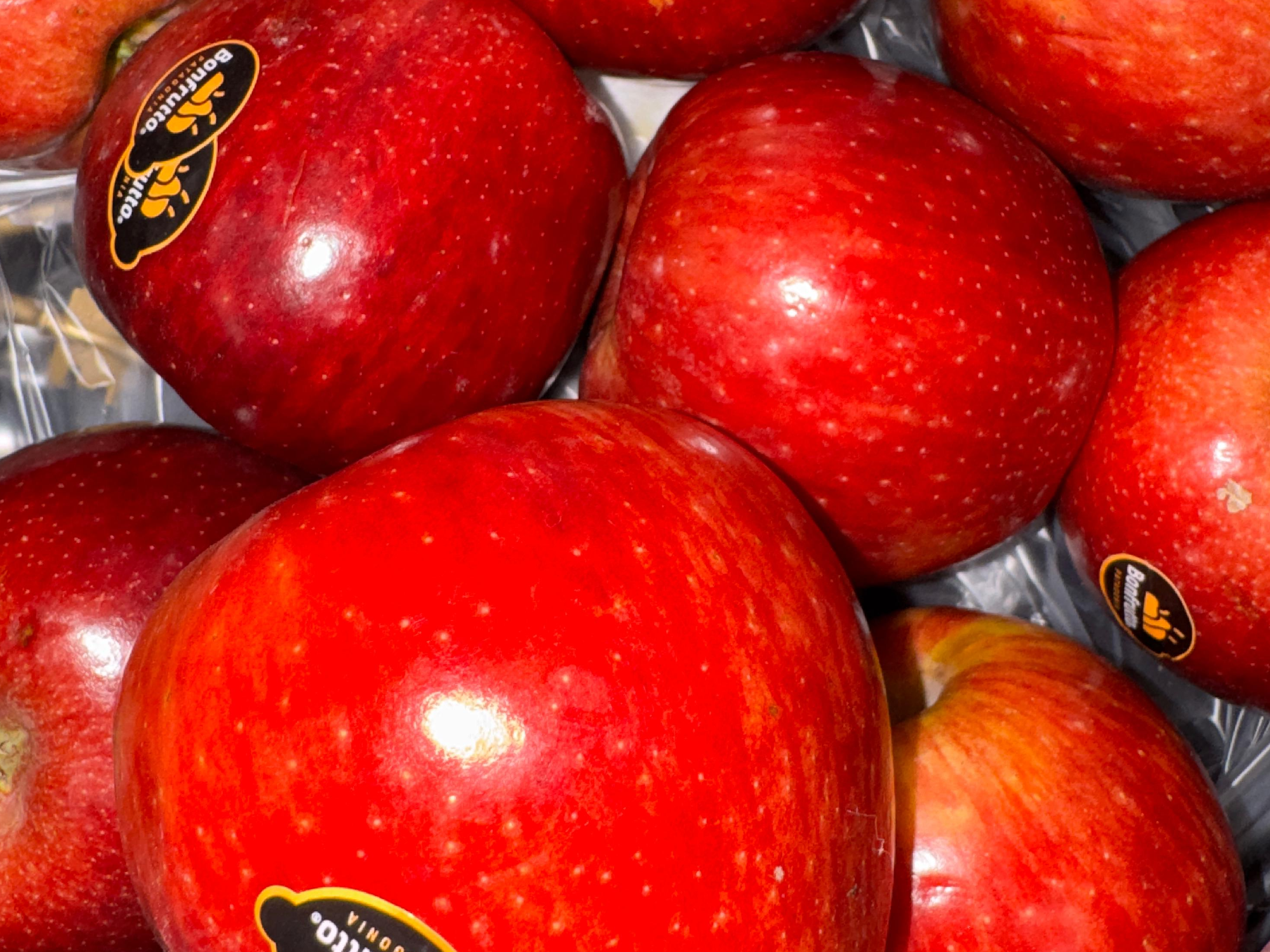 MANZANA BONFRUTTO - CAJÓN 19 KG