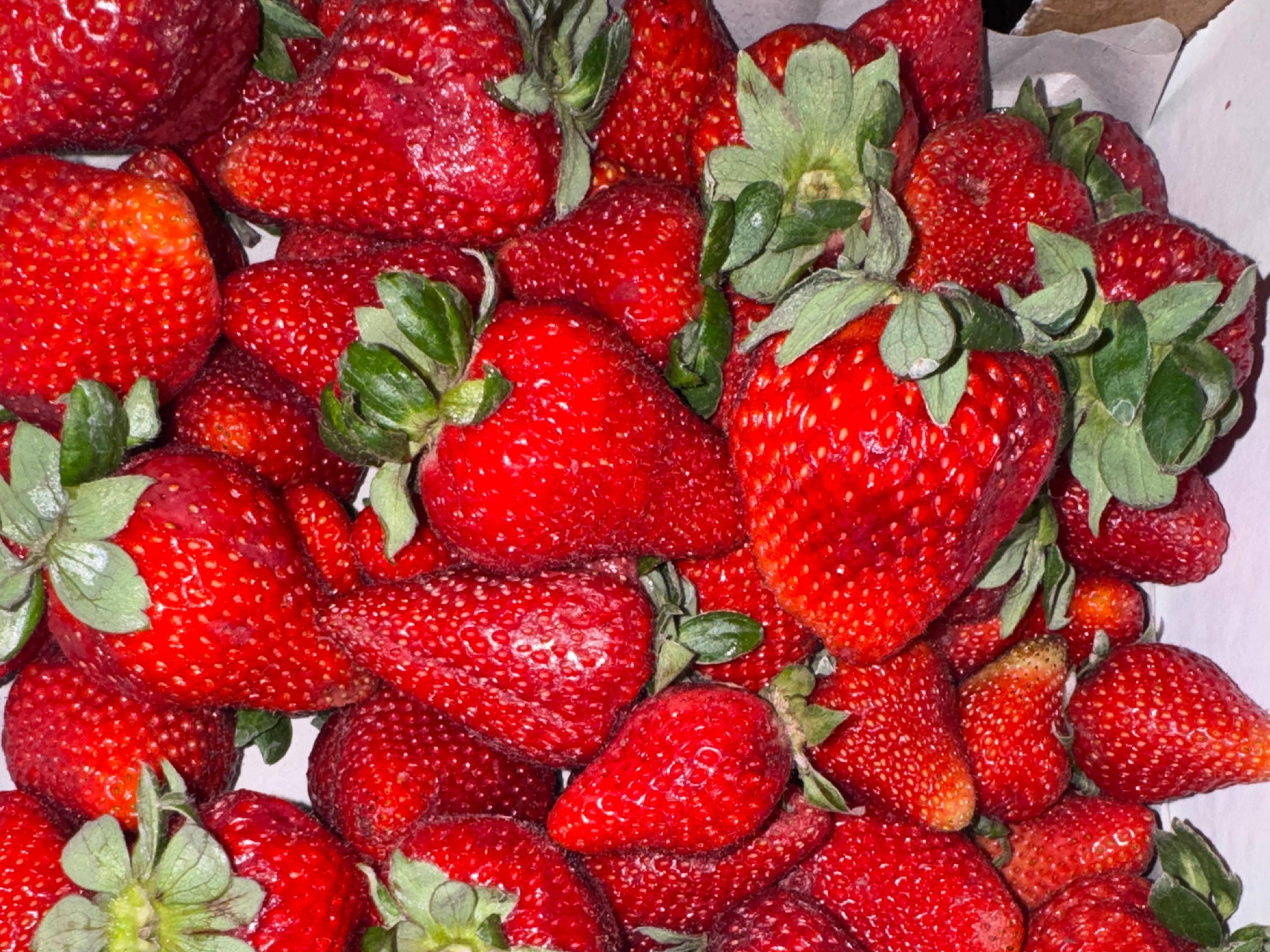 FRUTILLA - CAJÓN 5 KG