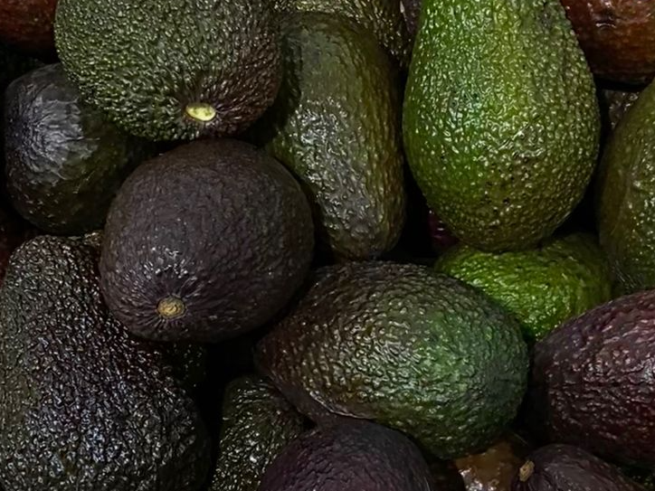 PALTA - CAJÓN 11 KG