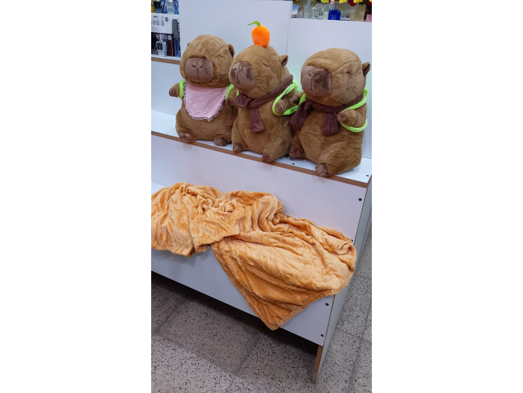 PELUCHE CAPYBARA con MANTA -COD-174