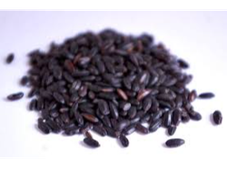 ARROZ NEGRO VENERE (grano corto)