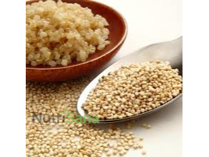SEMILLA DE QUINOA