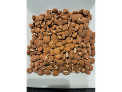 ALMENDRA GUARA CHICA