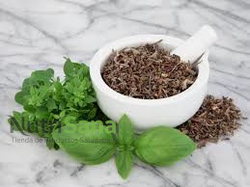 ALBAHACA