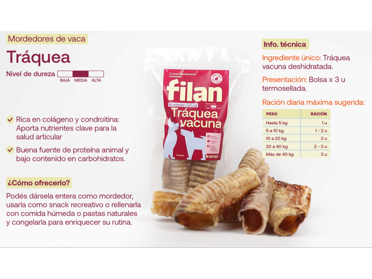 Traquea deshidratada