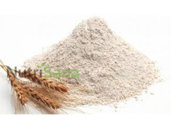 HARINA DE TRIGO INTEGRAL