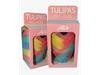 Tulipas de papel multicolor pastel (mpack) x25u.