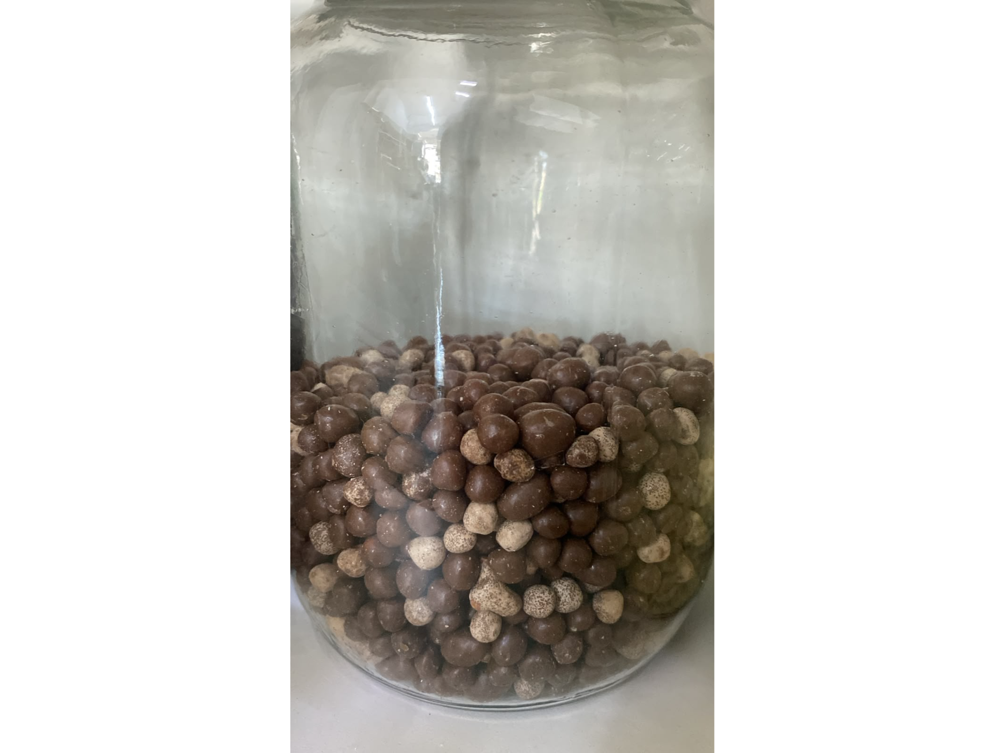 Micro GALLETITAS de chocolate argenfrut X100GR CON LECHE