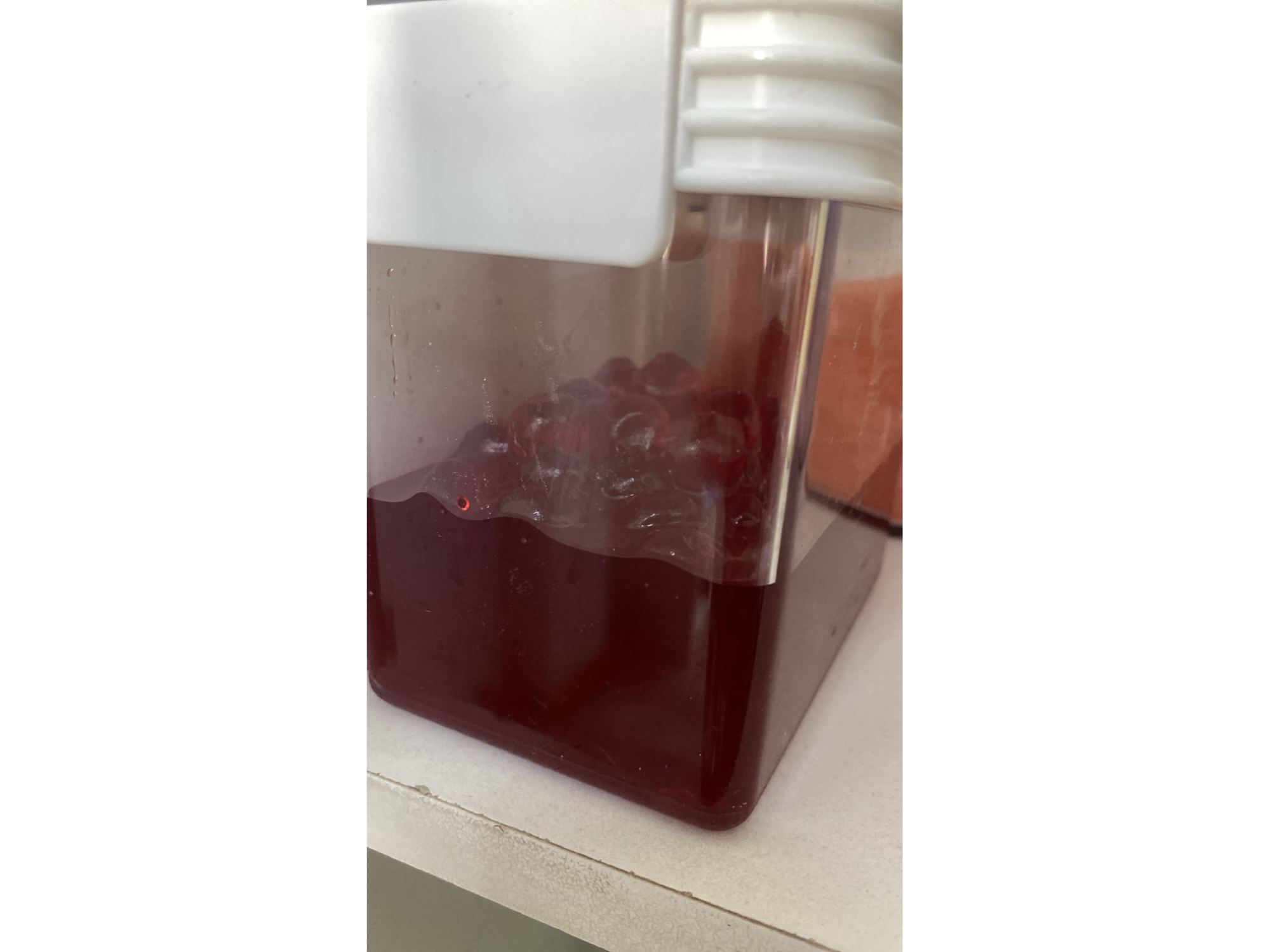 Guindas rojas bari x100GR