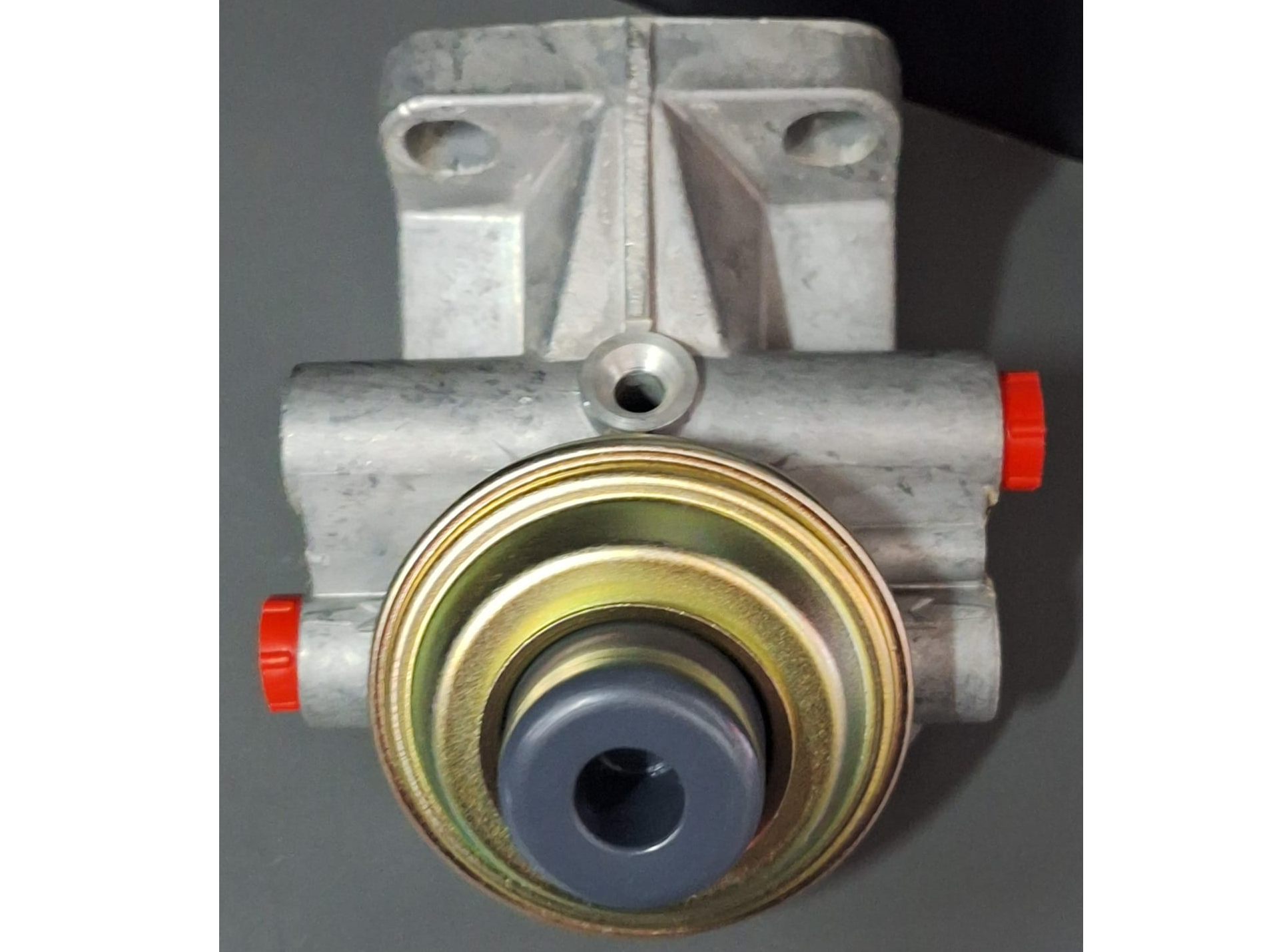 742B  - TAPA DE FILTRO - RENAULT -