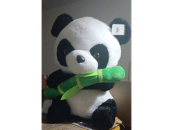 Oso panda 50cm