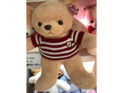 Oso con ropa 50cm