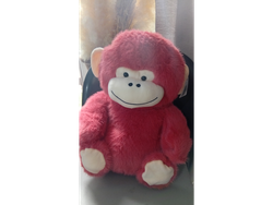Oso vs colores 45cm