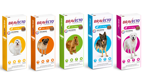 Productos pulguicidas y garrapaticidas
