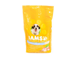 I ams perro cachorro large breed
