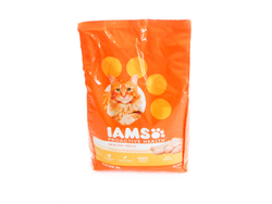 I ams gato adulto