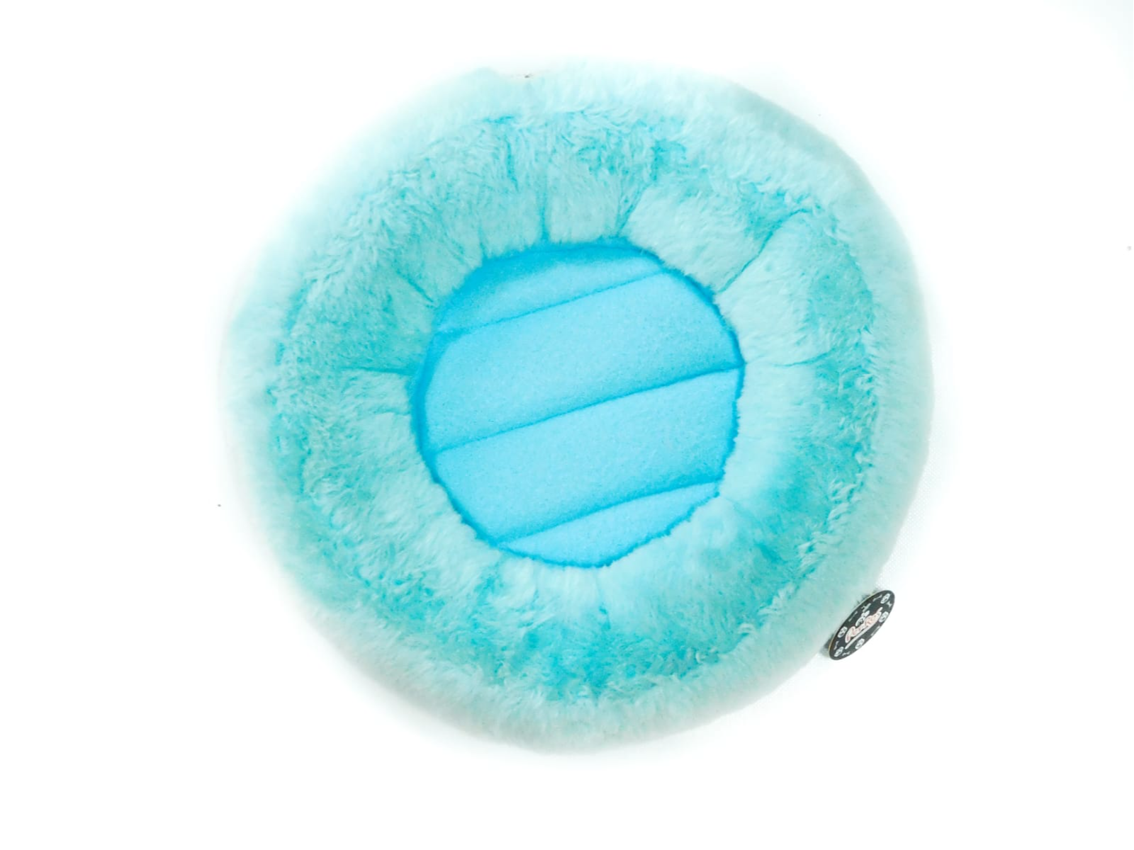 Moises Aro sweet chico (art 646)