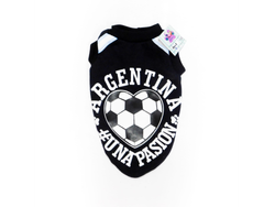 Buzo Argentina