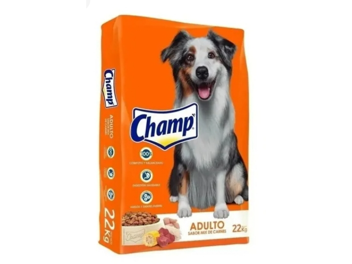 Champ perros adultos