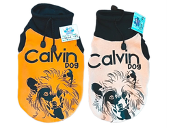 Buzo Calvin