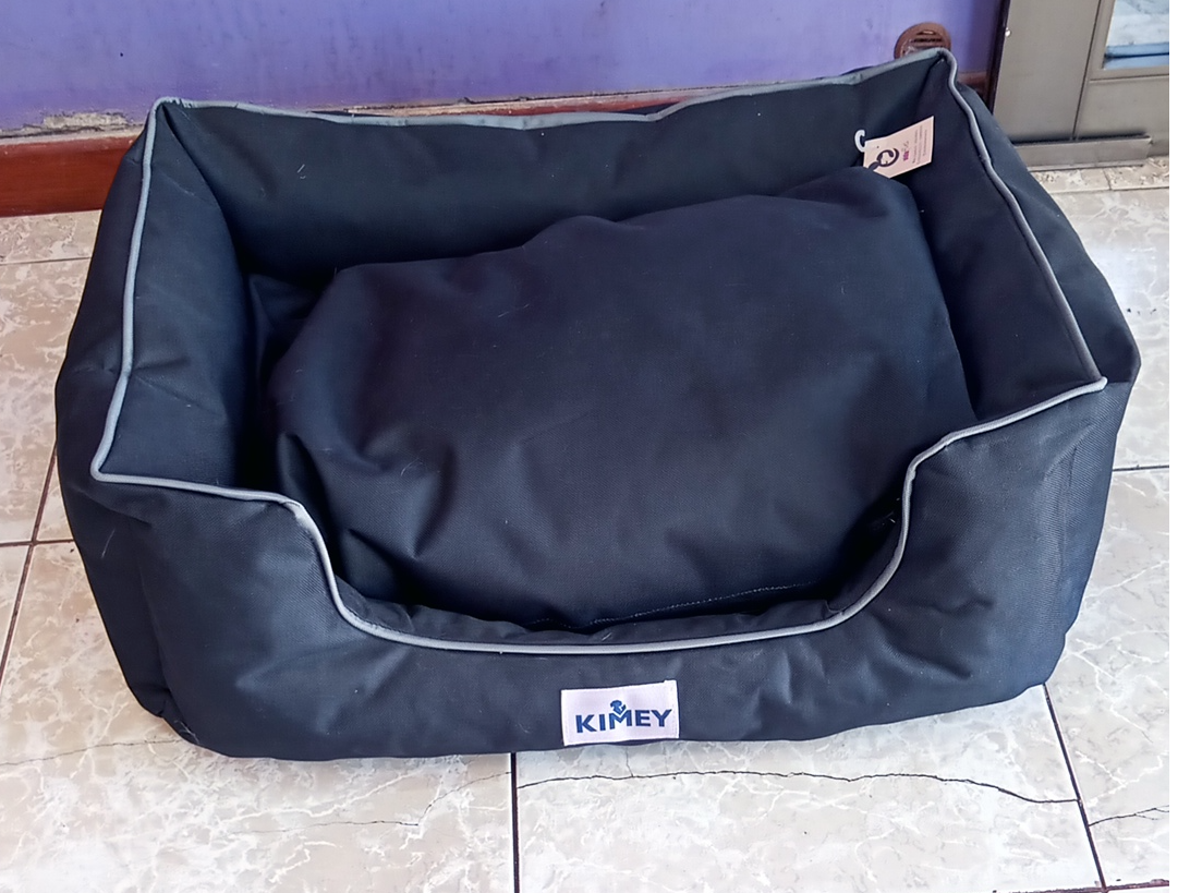 Moises Keanu (art 1318)