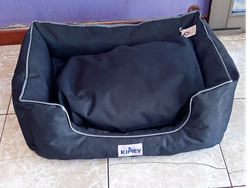 Moises Keanu (art 1318)