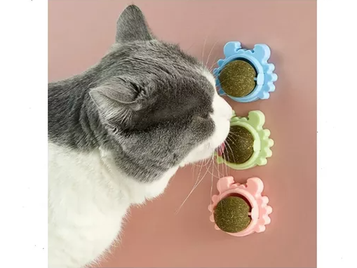 Catnip hierba gatera CON ADHESIVO (art 1014)