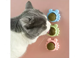 Catnip hierba gatera CON ADHESIVO (art 1014)