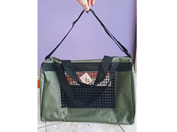 Bolso liso (art 850)