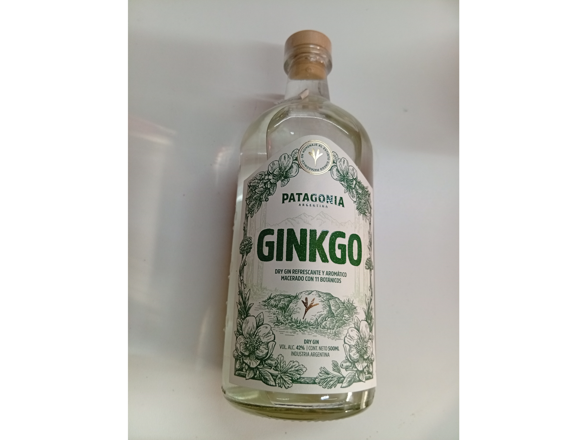 Ginkgo
