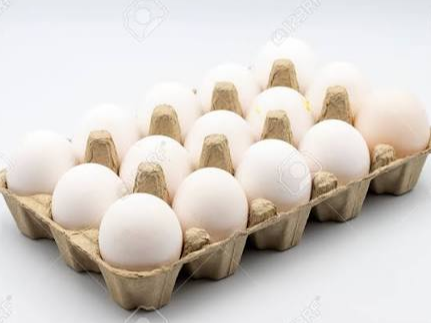 15 HUEVOS