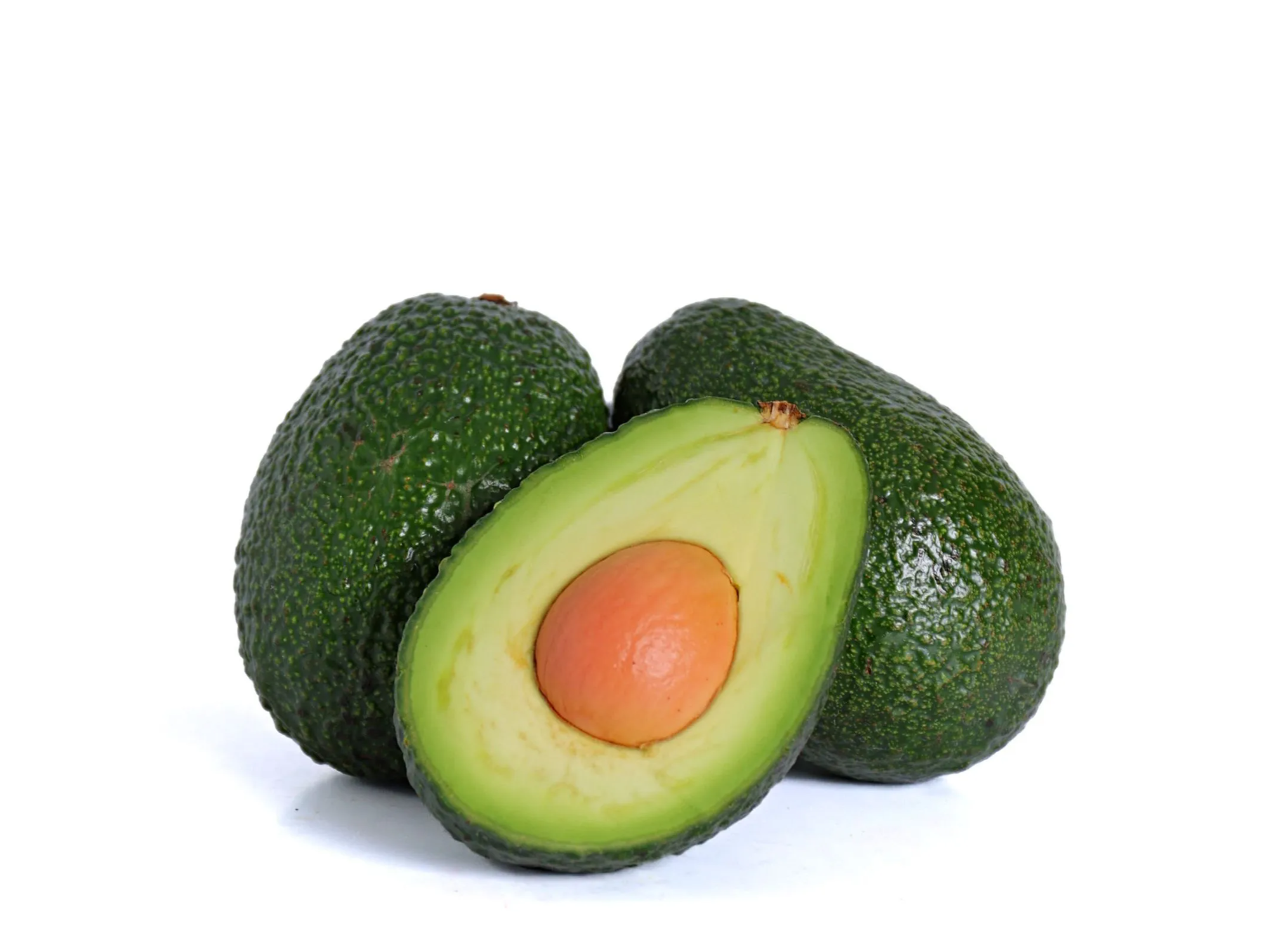 Palta xkg