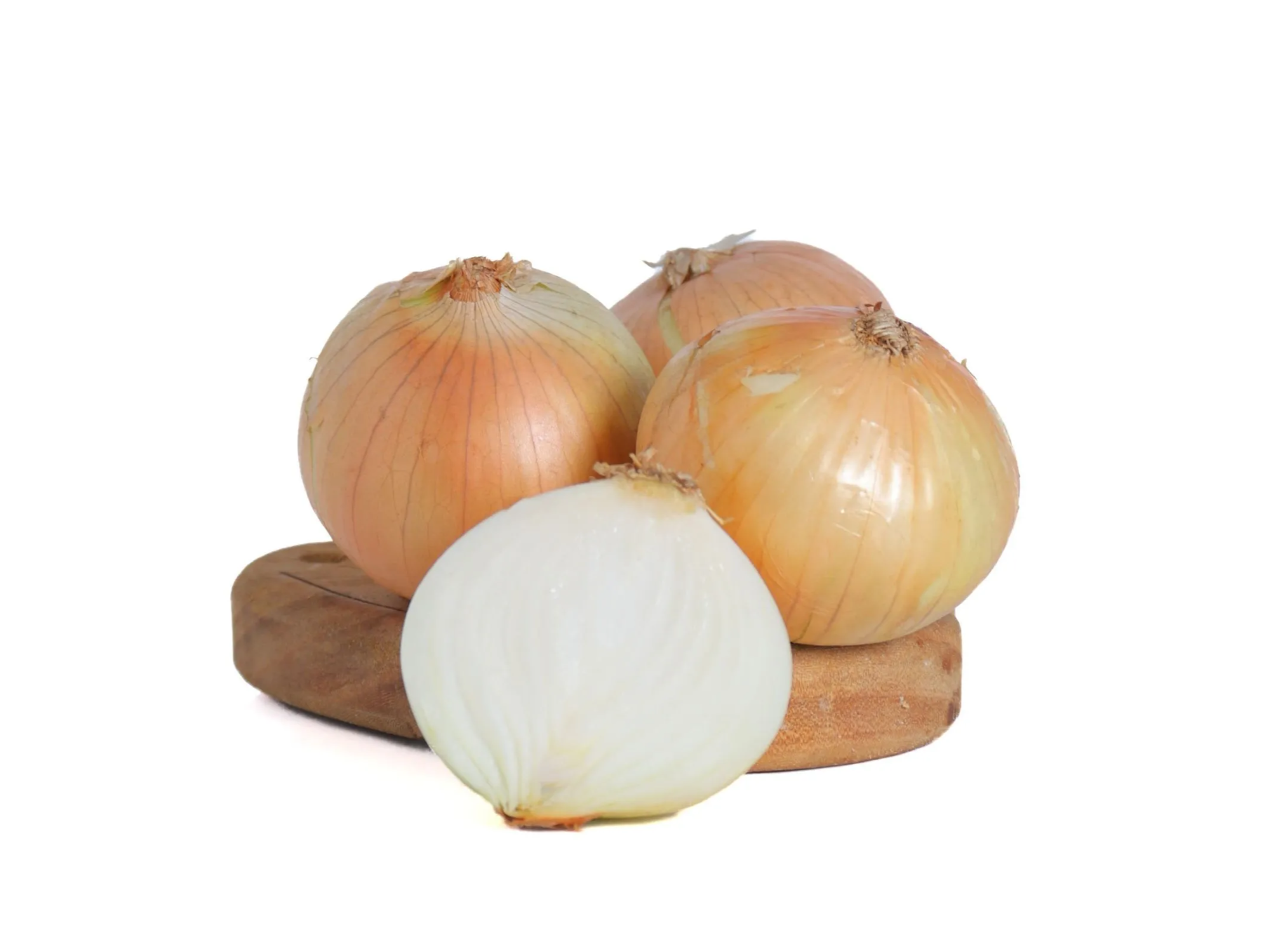 Cebolla xkg