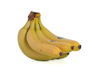 Banana ecuatoriana xkg