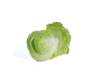 Lechuga repollada x kg