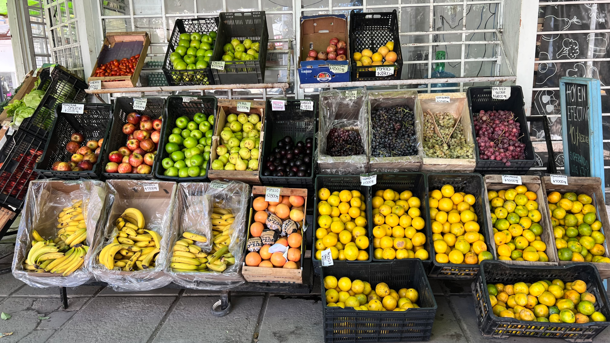 Bolsones 🍋🍌🍊🍆🍅🥕