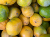 Mandarina