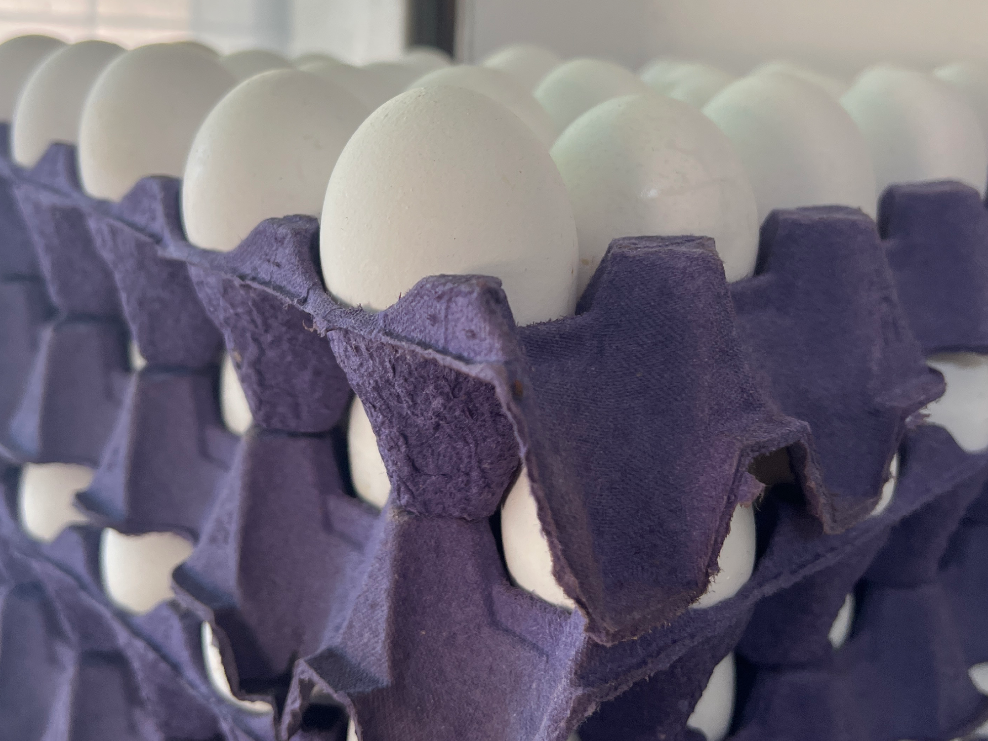 Maple huevos blancos.
