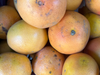 Pomelo