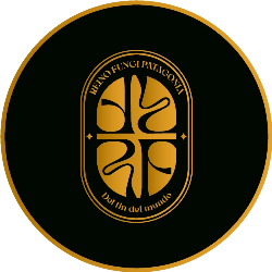 Logo Reino fungi Patagonia