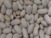 Poroto blanco alubia