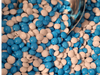 Rocklets de la selección