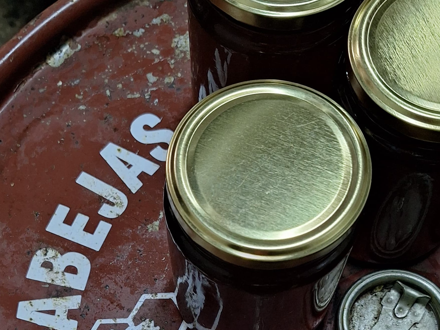 Miel 1/2kg calidad exportación